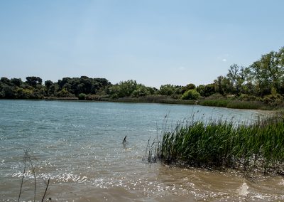 Laghi Alimini Otranto