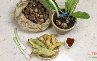 Nature in tempura: Ivan Tronci cooked Otranto’s vegetables