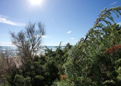 Natural Regional Reserve of Saint Andrew and Punta Pizzo